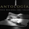 About Antología Song