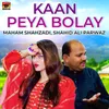 About Kaan Peya Bolay Song