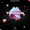 About Trippin Song