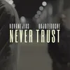 About Never Trust Song