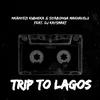 Trip To Lagos