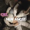 About Nur Angst Song