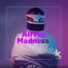 About All My Madness Song