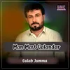 About Man Mast Qalandar Song