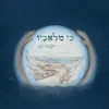 About כי מלאכיו Song
