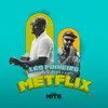 About Metflix Song
