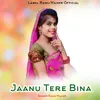 About Jaanu Tere Bina Song