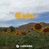 Gala