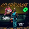 About Acariciame Song