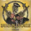 About Salgo Pa La Calle Song