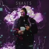 About Snakes Song