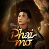 About Phai Mờ Song