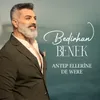 About Antep Ellerine De Were Song