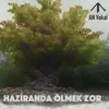 Haziranda Ölmek Zor