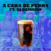 About A Cara de Perr4 Song