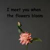 I meet you when the flowers bloom