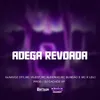 About ADEGA REVOADA Song