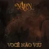 About Você Não Viu Song