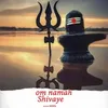 About Om Namah Shivaye Song