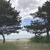 About Today is a good day Song