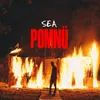 About POMNÜ Song