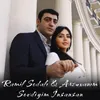 About Sevdiyim İnsansan Song