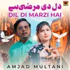About Dil Di Marzi Hai Song