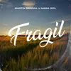About Frágil Song