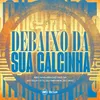 About DEBAIXO DA SUA CALCINHA Song