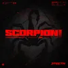About Scorpion Song
