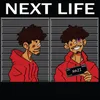 About Next Life Song