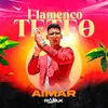 Flamenco Teteo