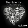 About The Scientist, A Tribute to Coldplay Song