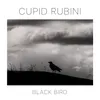 About Black Bird Song