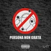 About PERSONA NON GRATA Song