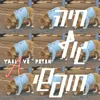 About חיה גוף חופשי Song