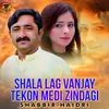 About Shala Lag Vanjay Tekon Medi Zindagi Song
