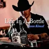 About Life In A Bottle Song