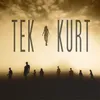 About Tek Kurt Song