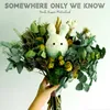 About Somewhere Only We Know Song