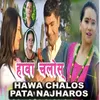 About Hawa Chalos Pata Najharos Song