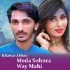 About Meda Sohnra Way Mahi Song