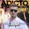 About Adicto a tus Besos Song