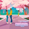 About Commot Song