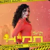 About תמ"א Song