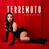 About Terremoto Song