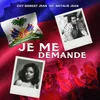 About Je Me Demande Song