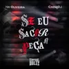 About Se eu Sacar a Peça Song