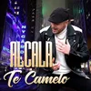 About Te Camelo Song