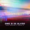 About Dime SI Se Olvido Song